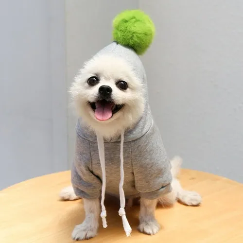 Cute Fruit Dog Clothes for Small Dogs hoodies Warm Fleece Pet Clothing