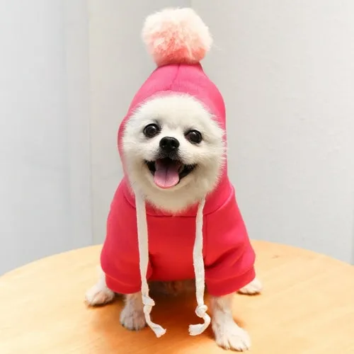 Cute Fruit Dog Clothes for Small Dogs hoodies Warm Fleece Pet Clothing
